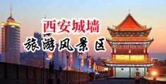 尻美女骚屄屄中国陕西-西安城墙旅游风景区